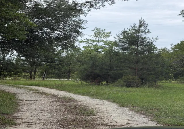 2nd image of 00 State Rd, Holly Hill, SC 29059 | MLS# 26017482