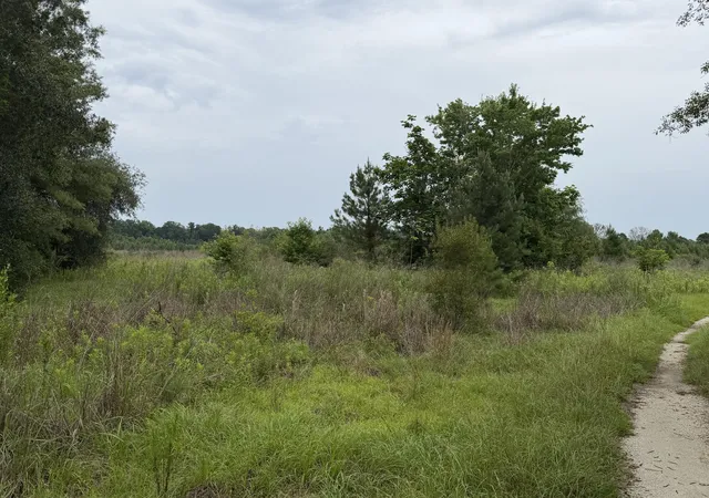 4th image of 00 State Rd, Holly Hill, SC 29059 | MLS# 26017482