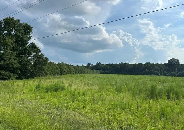 1st image of Lot 4 7 Mile Rd, Harleyville, SC 29448 | MLS# 26022230
