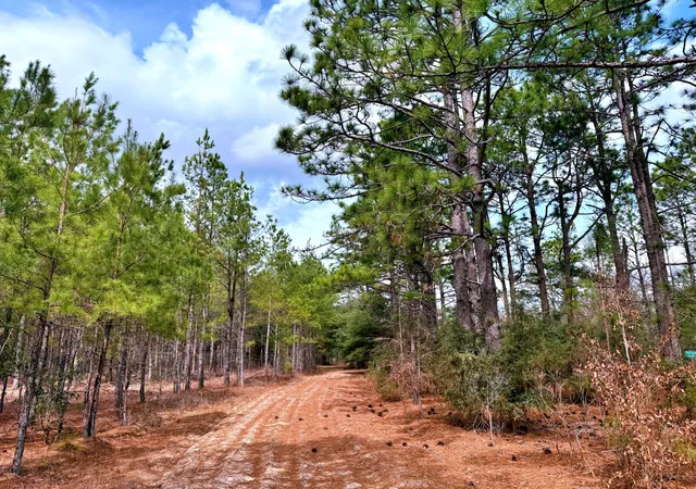 Homes for sale in Greeleyville, SC | 2400 River Rd, Greeleyville, SC 29056 | MLS# 25012802