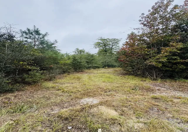 Photo 3 of Land for sale at 0 Fisk Rd, Dorchester, SC 29437 | MLS# 25029110 | Listing updated on 2026-05-08