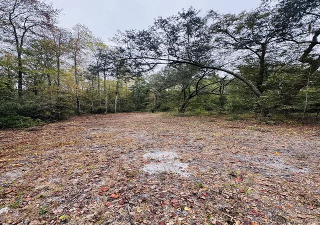 Photo 4 of Land for sale at 0 Fisk Rd, Dorchester, SC 29437 | MLS# 25029110 | Listing updated on 2026-05-08