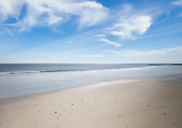 Homes for sale in Edisto Island, SC | 607 Portia St, Edisto Island, SC 29438 | MLS# 26019129