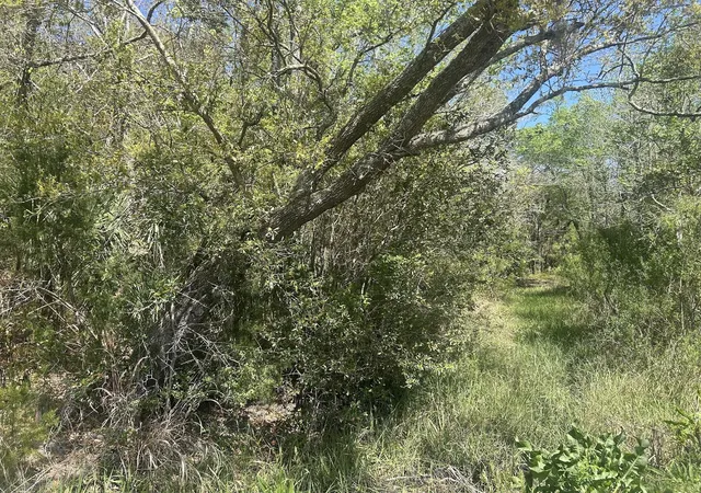 2nd image of 2492 Boy Scout Rd, Wadmalaw Island, SC 29487 | MLS# 26013521