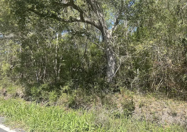 3rd image of 2492 Boy Scout Rd, Wadmalaw Island, SC 29487 | MLS# 26013521