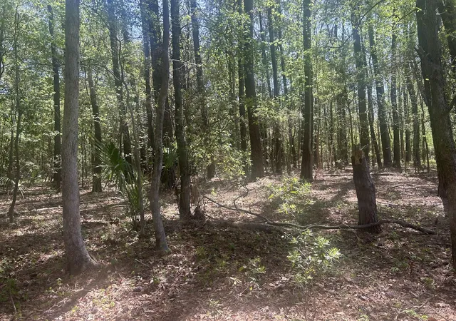 4th image of 2492 Boy Scout Rd, Wadmalaw Island, SC 29487 | MLS# 26013521