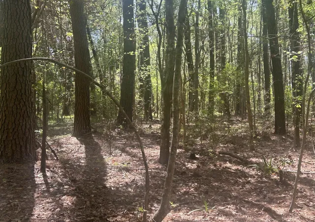 5th image of 2492 Boy Scout Rd, Wadmalaw Island, SC 29487 | MLS# 26013521