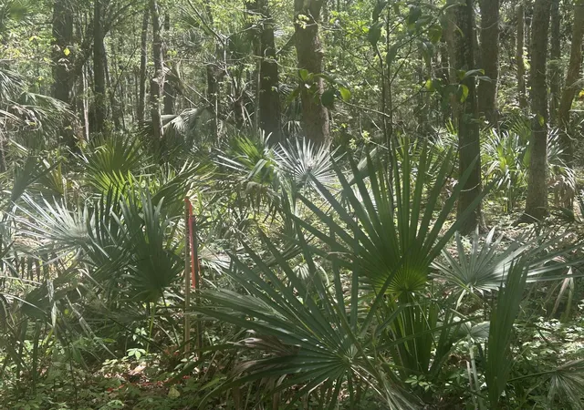8th image of 2492 Boy Scout Rd, Wadmalaw Island, SC 29487 | MLS# 26013521