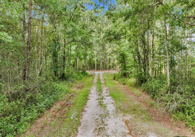 Photo 4 of Single family home for sale at 65 Music Ln, Smoaks, SC 29481 | MLS# 26020948 | Listing updated on 2026-08-30
