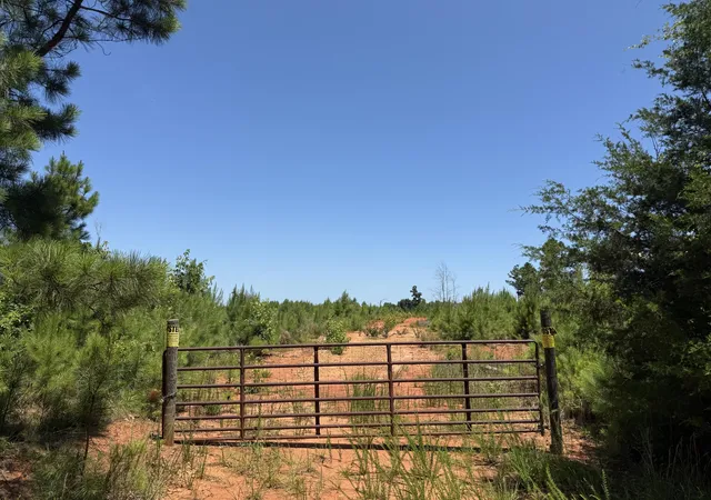 Photo 13 of Land for sale at 0 Halsellville Rd, Chester, SC 29706 | MLS# 25030239 | Listing updated on 2026-08-31