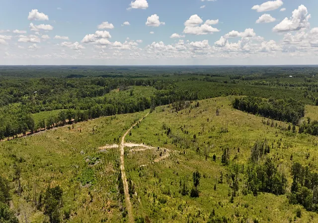 Photo 1 of Land for sale at 0 Halsellville Rd, Chester, SC 29706 | MLS# 25030239 | Listing updated on 2026-08-31
