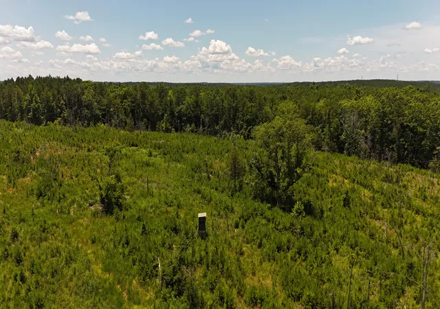 Photo 3 of Land for sale at 0 Halsellville Rd, Chester, SC 29706 | MLS# 25030239 | Listing updated on 2026-08-31