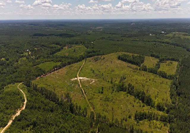 Photo 4 of Land for sale at 0 Halsellville Rd, Chester, SC 29706 | MLS# 25030239 | Listing updated on 2026-08-31