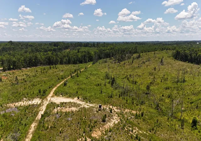 Photo 5 of Land for sale at 0 Halsellville Rd, Chester, SC 29706 | MLS# 25030239 | Listing updated on 2026-08-31