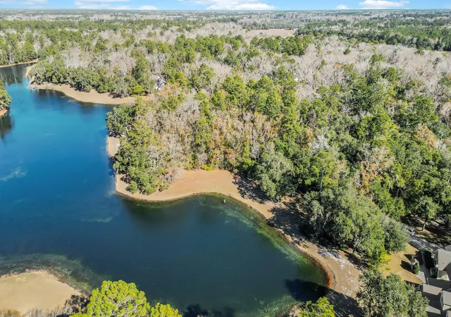 3rd image of 88 Tomotley Barony Dr, Seabrook, SC 29940 | MLS# 25000903