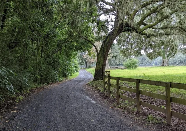 Photo 3 of Land for sale at 33 Middleton Oaks Rd, Charleston, SC 29414 | MLS# 25016756 | Listing updated on 2026-09-16