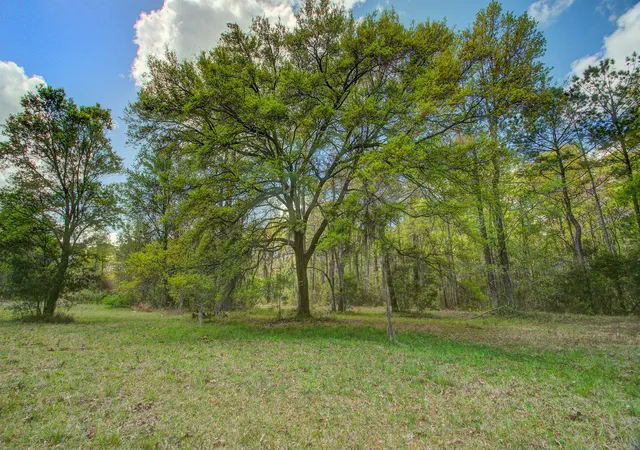 Land for sale at 5865 Octavia, Ravenel, SC 29470 | MLS# 26009071