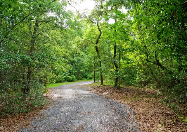 Photo 4 of Land for sale at 3993 Betsy Kerrison Pkwy, Johns Island, SC 29455 | MLS# 26017283 | Listing updated on 2026-09-01