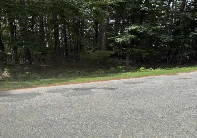 2nd image of 0 Mary Ellie Dr, Summerville, SC 29483 | MLS# 26022755