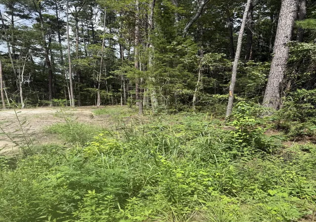 3rd image of 0 Mary Ellie Dr, Summerville, SC 29483 | MLS# 26022755