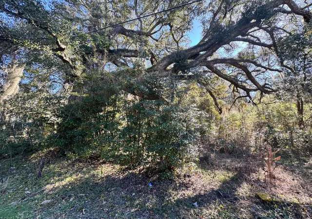 Photo 2 of Land for sale at 183 Pidgeon Bay Rd, Summerville, SC 29483 | MLS# 25024857 | Listing updated on 2026-03-08