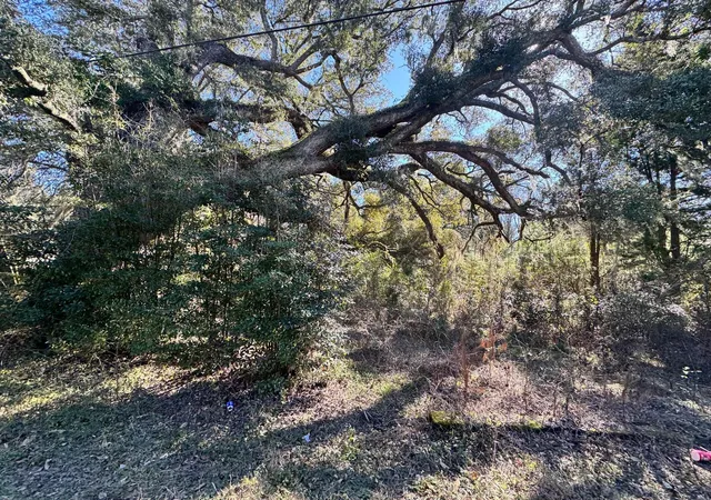 Photo 3 of Land for sale at 183 Pidgeon Bay Rd, Summerville, SC 29483 | MLS# 25024857 | Listing updated on 2026-03-08