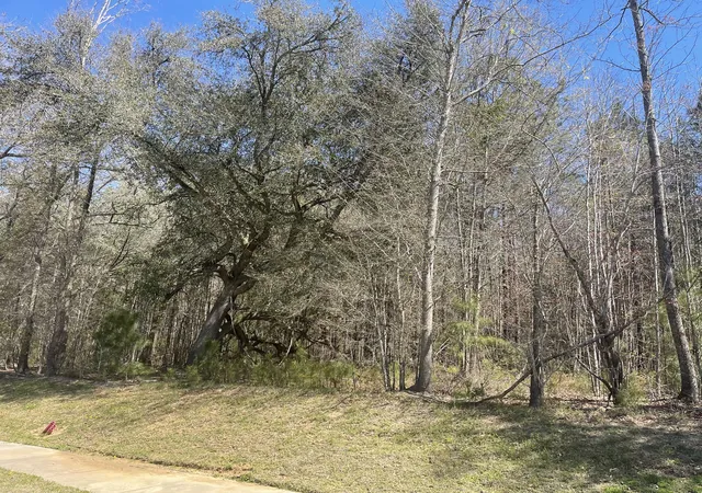 Photo 1 of Land for sale at 00 Highway 52, Moncks Corner, SC 29461 | MLS# 24014205 | Listing updated on 2026-09-14