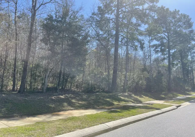 Photo 2 of Land for sale at 00 Highway 52, Moncks Corner, SC 29461 | MLS# 24014205 | Listing updated on 2026-09-14