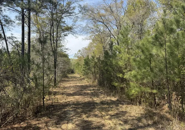 Photo 3 of Land for sale at 0 Getaway Ln, Pinopolis, SC 29469 | MLS# 26008173 | Listing updated on 2026-03-24