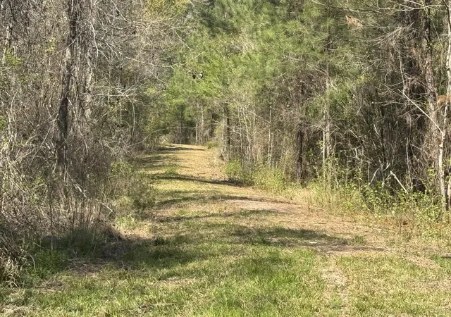 Photo 3 of Land for sale at 0 Getaway Ln, Pinopolis, SC 29469 | MLS# 26008173 | Listing updated on 2026-03-24