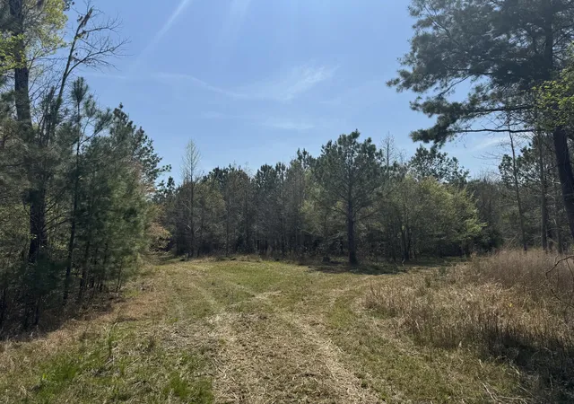 Photo 4 of Land for sale at 0 Getaway Ln, Pinopolis, SC 29469 | MLS# 26008173 | Listing updated on 2026-03-24