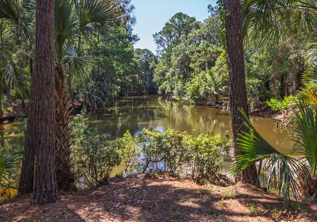 5th image of 2143 Royal Pine Dr, Seabrook Island, SC 29455 | MLS# 26019271