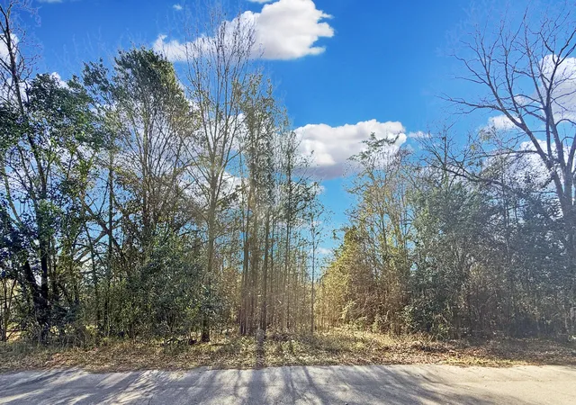 1st image of 475 Coleman Ave, Orangeburg, SC 29115 | MLS# 26023348