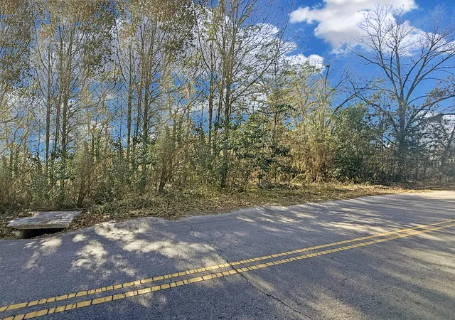 2nd image of 475 Coleman Ave, Orangeburg, SC 29115 | MLS# 26023348