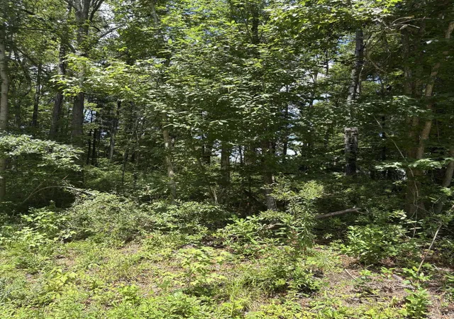 1st image of 0 University Dr #Lot 224, North Charleston, SC 29418 | MLS# 26008028