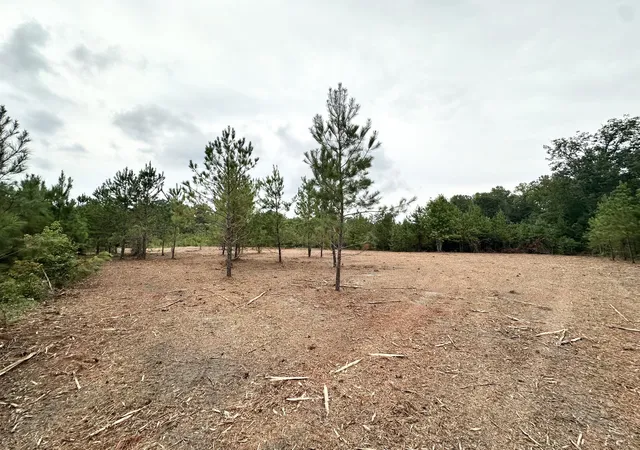 Photo 1 of Land for sale at 0 Wesley Grove Church Rd, Cordova, SC 29039 | MLS# 26024495 | Listing updated on 2026-09-14