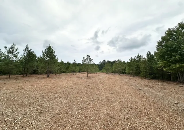 Photo 2 of Land for sale at 0 Wesley Grove Church Rd, Cordova, SC 29039 | MLS# 26024495 | Listing updated on 2026-09-14