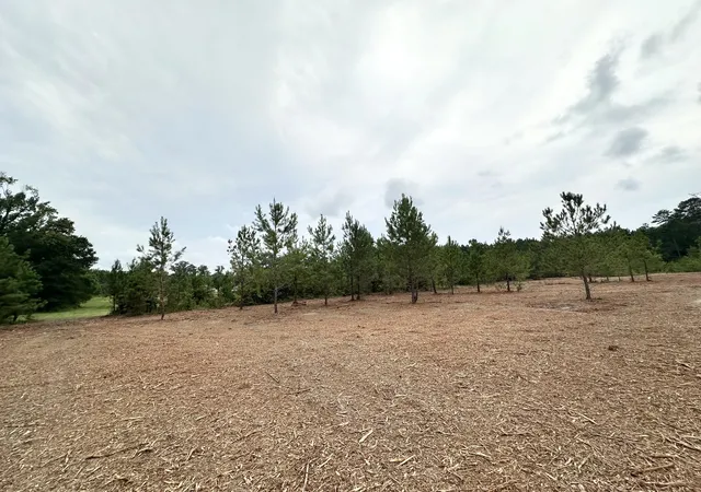 Photo 3 of Land for sale at 0 Wesley Grove Church Rd, Cordova, SC 29039 | MLS# 26024495 | Listing updated on 2026-09-14