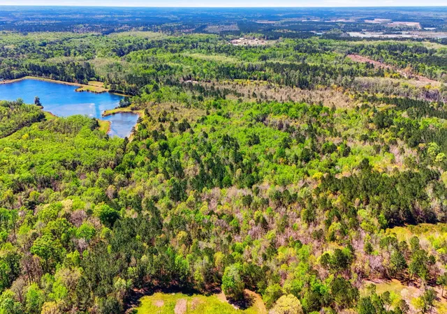 Homes for sale in Ridgeville, SC | 0 Old Beech Hill Rd, Ridgeville, SC 29472 | MLS# 26008954