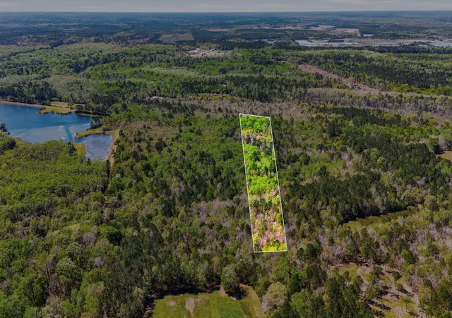 Homes for sale in Ridgeville, SC | 0 Old Beech Hill Rd, Ridgeville, SC 29472 | MLS# 26008954