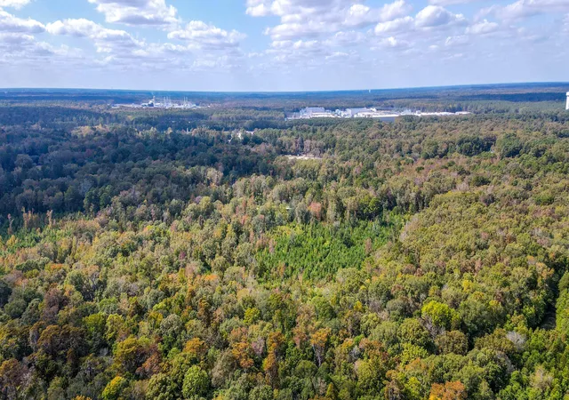 Photo 3 of Land for sale at 155 Goldenrod Ln, Moncks Corner, SC 29461 | MLS# 24006209 | Listing updated on 2026-08-03