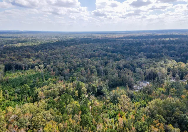 Photo 3 of Land for sale at 155 Goldenrod Ln, Moncks Corner, SC 29461 | MLS# 24006209 | Listing updated on 2026-08-03