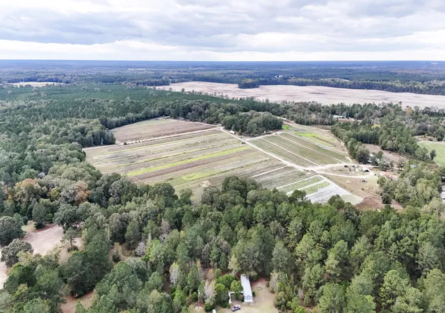 Photo 1 of Land for sale at 00 Chavis Rd, Hilda, SC 29813 | MLS# 26021449 | Listing updated on 2026-09-02