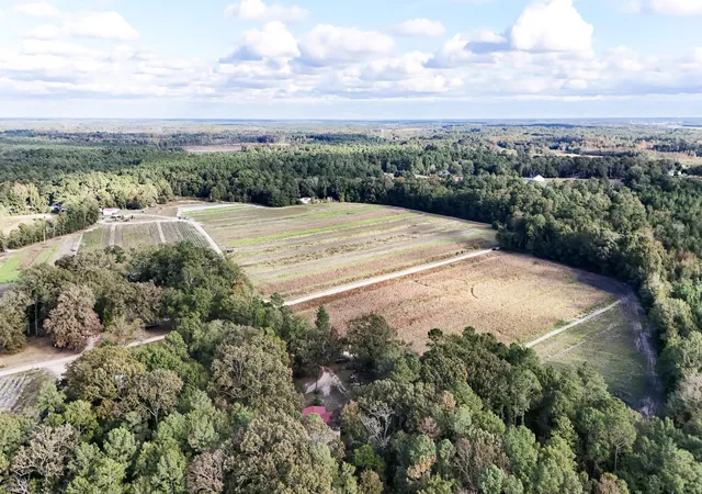 Photo 2 of Land for sale at 00 Chavis Rd, Hilda, SC 29813 | MLS# 26021449 | Listing updated on 2026-09-02