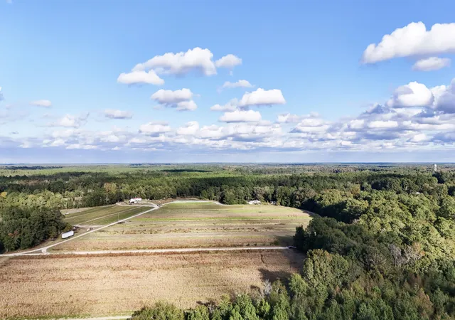Photo 5 of Land for sale at 00 Chavis Rd, Hilda, SC 29813 | MLS# 26021449 | Listing updated on 2026-09-02