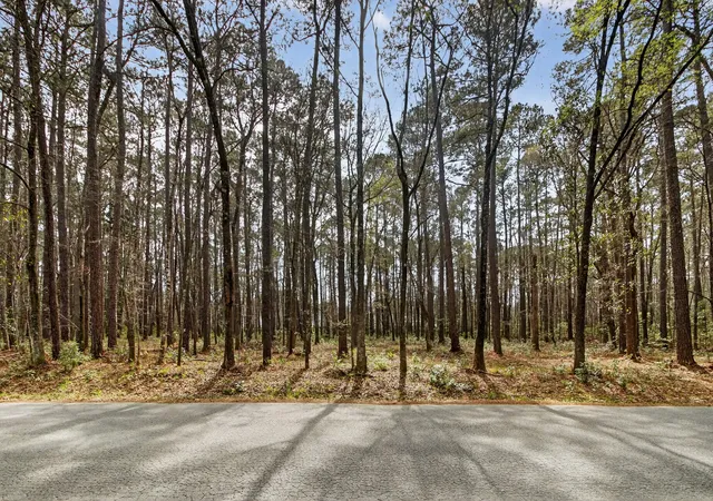 1st image of 103 Caveson Dr, Summerville, SC 29483 | MLS# 26006851