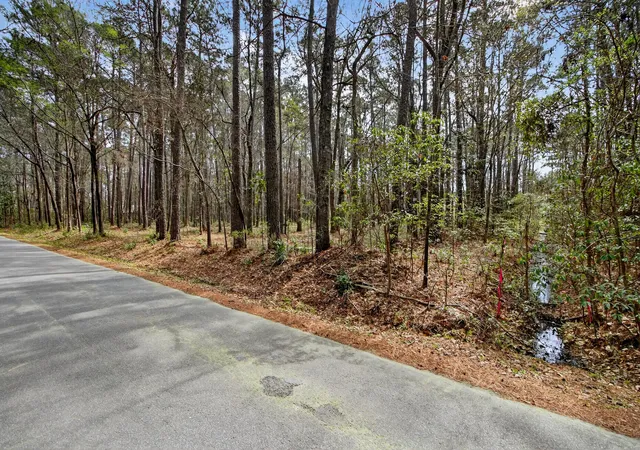 2nd image of 103 Caveson Dr, Summerville, SC 29483 | MLS# 26006851