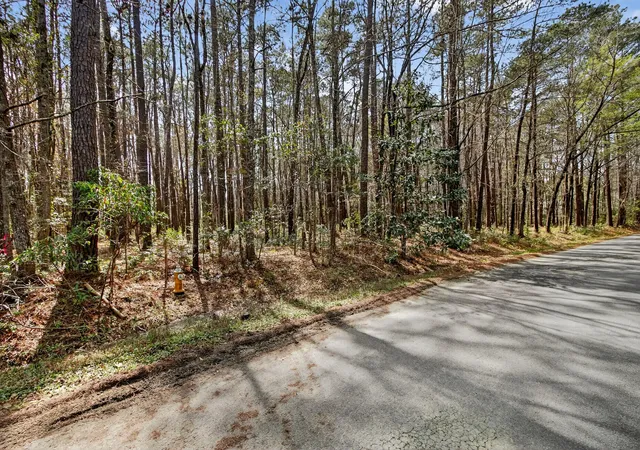 3rd image of 103 Caveson Dr, Summerville, SC 29483 | MLS# 26006851
