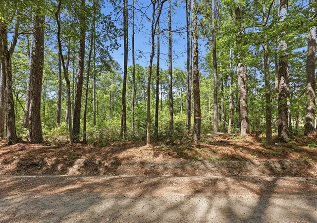Photo 3 of Land for sale at 109 Love Ln, Summerville, SC 29486 | MLS# 26010655 | Listing updated on 2026-04-21