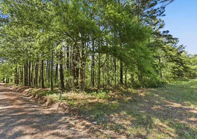 Photo 4 of Land for sale at 109 Love Ln, Summerville, SC 29486 | MLS# 26010655 | Listing updated on 2026-04-21